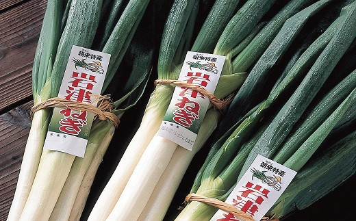 
            朝来市特産「岩津ねぎ」2㎏（箱入り） 岩津ねぎ 岩津ネギ 新鮮 国産 甘い 太い 柔らかい 香り豊か 幻のねぎ 天ぷら 鍋 焼きねぎ ネギ すき焼き 朝来市 限定 TVで紹介
          