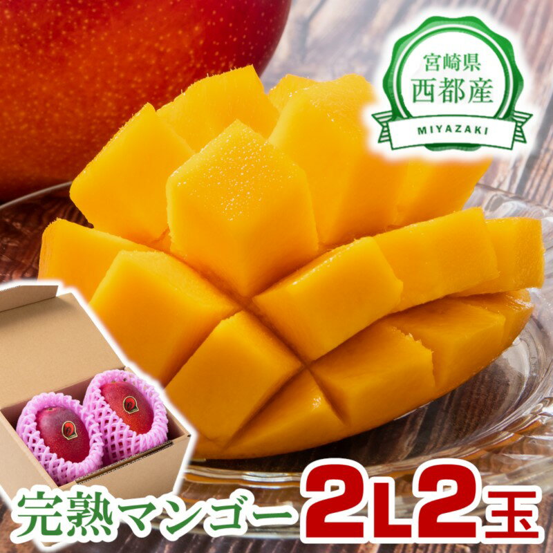 【ふるさと納税】西都市産 完熟マンゴー2L× 2玉 糖度12度以上 宮崎県 先行予約 数量限定＜1.3-6＞ ふるさと納税 果物 フルーツ US
