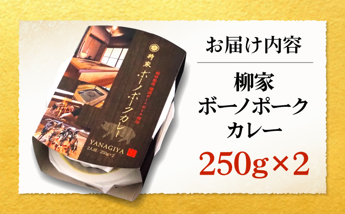 柳家 ボーノポークカレー 250g×2個 瑞浪市 / 陶ホープフル レトルト スパイス ギフト [AZBC001]