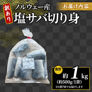 訳あり 塩サバ 1kg 鯖鯖鯖鯖鯖