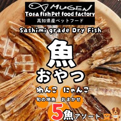 ふるさと納税 東洋町 高知の魚100%　魚のおやつ　わんにゃんペットフードおまかせ5種アソート