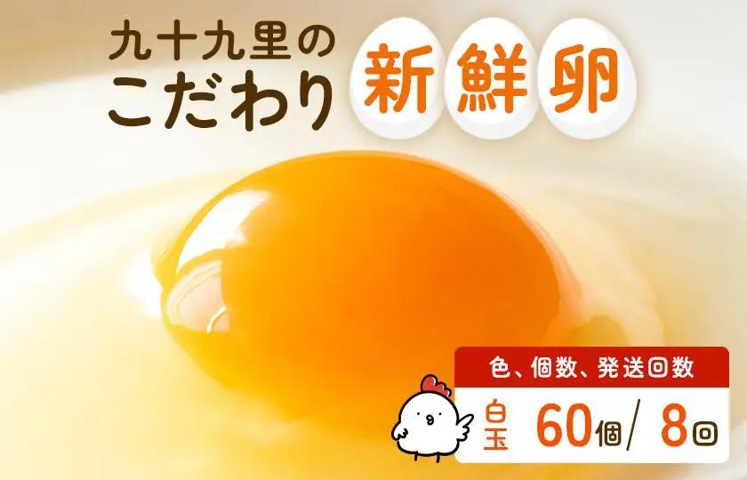 【定期便8回】九十九里ファームこだわりたまご贈答用 60個 ～あおい海・みどりの里～《白玉》 たまご 卵 玉子 タマゴ 白玉 卵かけご飯 新鮮 旨み 甘み 贈答用 贈答 ギフト 贈り物 千葉県 匝瑳市