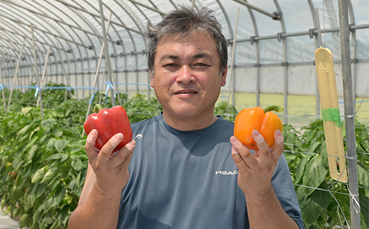 山形県 戸沢村産 彩り豊かな パプリカ&パレルモ 詰め合わせ 約1kg(5～8個) 国産 野菜 やさい パプリカ パレルモ イタリアンパプリカ スイートペッパー サラダ 炒め物 詰合せ セット 贈り物
