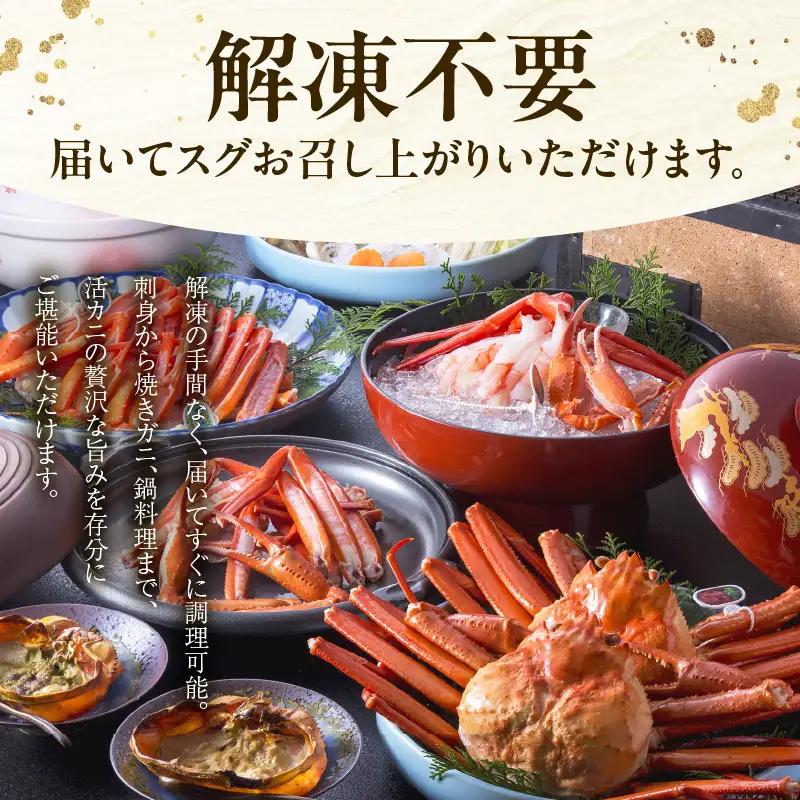《生》 香住ガニ 大 タグ付き 約800g×2枚【令和8年11月以降発送予定】かに カニ 03-07