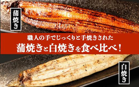 【定期便全6回】 鹿児島県 大隅産 千歳鰻 白焼き 4尾・ 蒲焼 4尾 （1尾110g～130g）| 白焼き