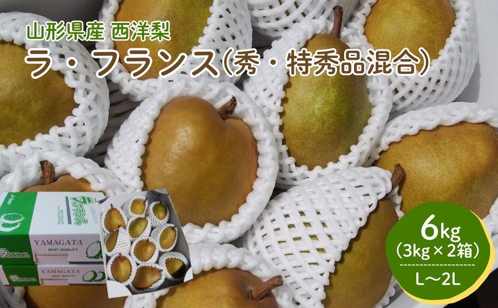 
                  西洋梨（ラ・フランス）６ｋｇ（３ｋｇ×２箱）　0050-2601
                