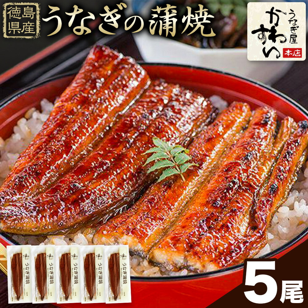 【ふるさと納税】うなぎ屋かわすい 国産うなぎの蒲焼 5尾 川口水産株式会社《30日以内に出荷予定(土日祝除く)》うなぎ蒲焼 鰻 大 タレ 惣菜 丑の日 人気 うなぎ おすすめ 国産 個装