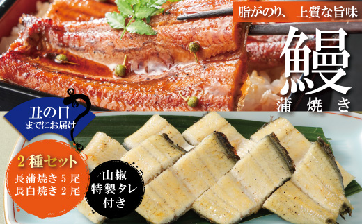 【土用の丑の日までにお届け】＜四万十食品＞うなぎ蒲焼　長焼５尾＋白焼２尾／Ｆ 鰻 ウナギ うなぎ お取り寄せ グルメ きざみ お楽しみ おいしい ギフト 食べ物 食品 おかず 国産鰻 蒲焼 うなぎ蒲焼 ウナギ蒲焼 鰻蒲焼 冷凍 送料無料 国産 高知 高知県