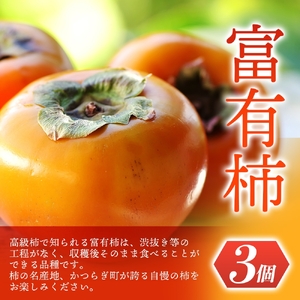 【先行予約】道の駅くしがきの里セット富有柿3個・温州みかん約30個の詰め合わせ こだわり農家厳選【2025年11月中旬頃から2026年1月中旬頃順次発送】/ みかん 温州みかん 柿 富有柿 かき 詰め