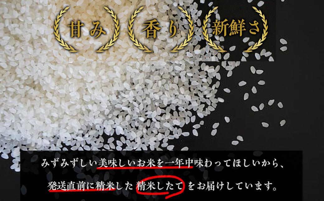 一年中「精米したて」をお届け