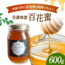 【ふるさと納税】美濃蜂蜜 百花蜜 600g 【マンモスハウス合同会社】 はちみつ 非加熱 国産 [TEW004]