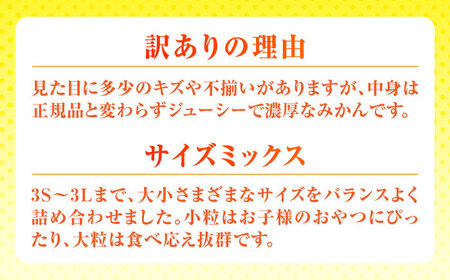 【先行予約】 温州みかん 訳あり サイズミックス 3S-3L 約5kg みかん 蜜柑 サイズ 不選別 家庭用 柑橘 フルーツ 果物 【日本フルーツ株式会社】[ZFJ050]