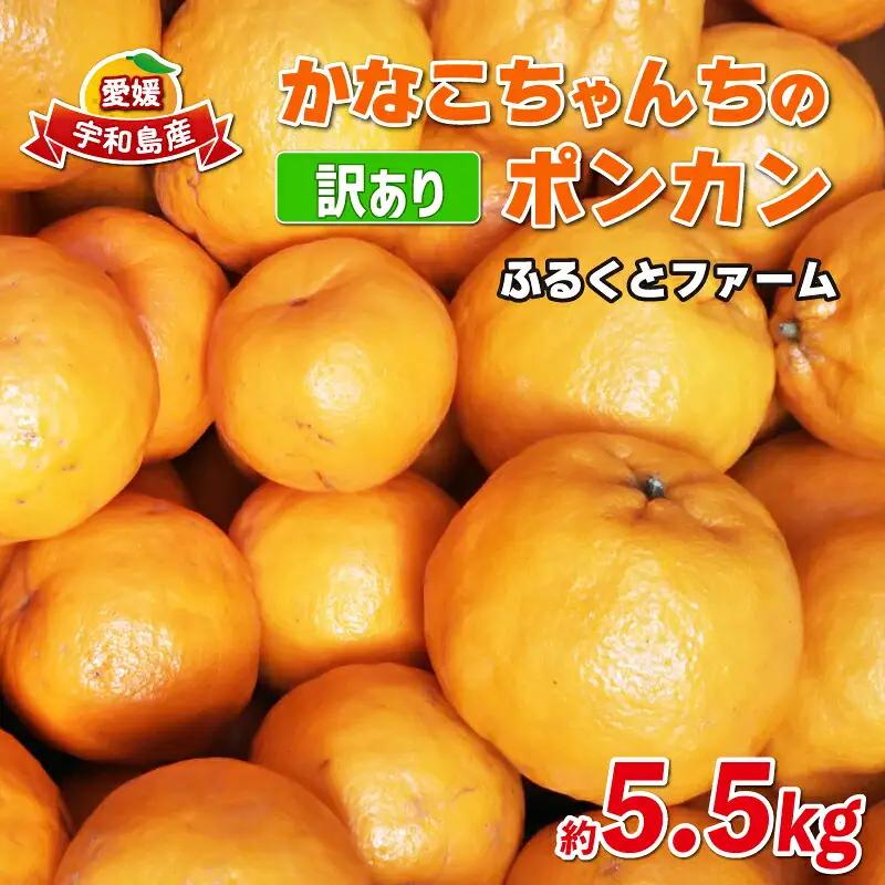 訳あり ポンカン みかん 約5.5kg ふるくとファーム 柑橘柑橘柑橘柑橘柑橘 B010-037006