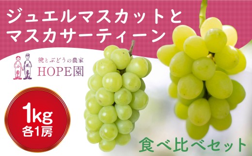 【2026年発送★先行予約】安心のクール便発送 食べ比べセット ジュエルマスカット＆マスカサーティーン 1㎏ 各1房　ふるさと納税 ぶどう 葡萄 ジュエルマスカット マスカサーティーン  食べ比べ 笛吹市 人気 期間限定 果物 フルーツ 旬 ギフト  贈り物 山梨県 送料無料 226-010