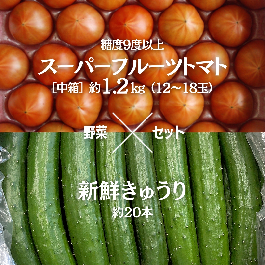 糖度9度以上 トマト 【 2025年収穫分 先行予約 】 スーパーフルーツトマト 中箱 約1.2kg（12~18玉）糖度9度以上 ＆ 新鮮 きゅうり 約20本 野菜セット 2025年2月上旬発送開始 とまと トマト 胡瓜 キュウリ 野菜 サラダ [BC063sa]