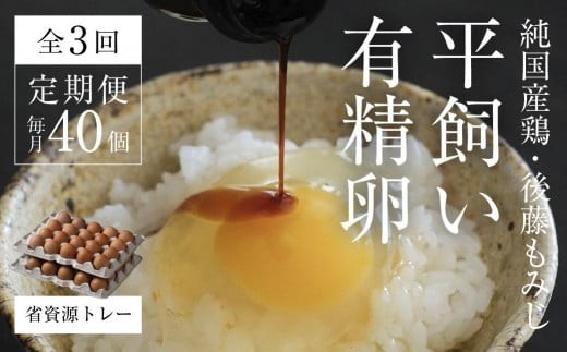 平飼い有精卵40個 省資源トレー【全3回定期便】｜環境配慮型 定期便《西粟倉村》【配送不可地域：沖縄・離島】t-SS-BqDA