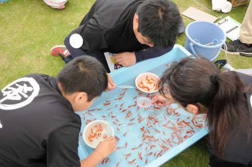 九州金魚すくい選手権（団体戦）