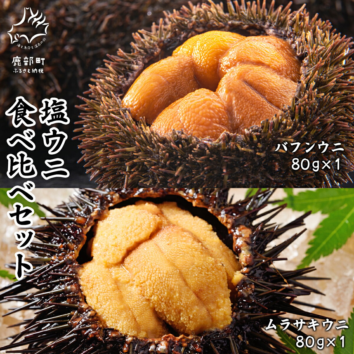 【ふるさと納税】ウニ 食べ比べ バフンウニ ムラサキウニ 80g×2P 塩ウニ 塩蔵うに セット ミョウバン不使用 ごはんのお供 うに丼 海鮮丼 パスタ おにぎり 珍味 魚介 冷凍 送料無料