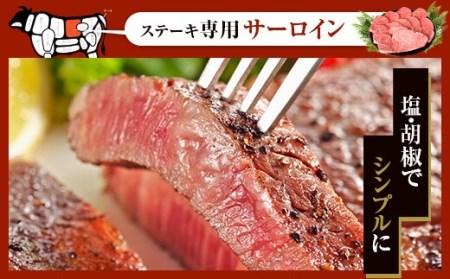 HS-104 鹿児島県産黒毛和牛ｻｰﾛｲﾝｽﾃｰｷ･すき焼きBｾｯﾄ 名産鹿児島和牛かんだ本店