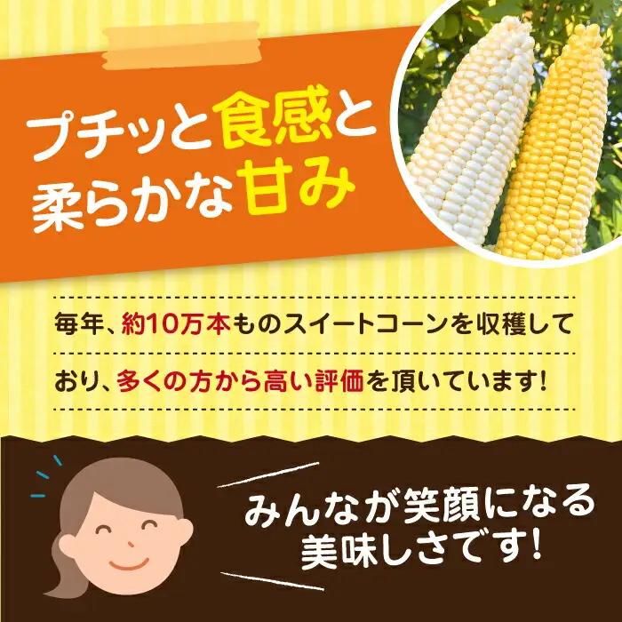 【先行予約】農家直送 朝どれ スイートコーン 白黄 食べ比べセット 約4kg 9-12本入[VBC002] 野菜 コーン