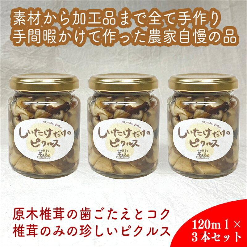 【ふるさと納税】しいたけだけのピクルス 3個セット【 家庭用 自宅用 贈答品 贈答用 ギフト お取り寄せ お中元 お歳暮 贈り物 お祝い 神奈川県 小田原市 】