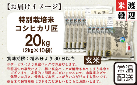 令和7年産 特別栽培米 コシヒカリ匠 20kg（2kg×10袋） 節減対象農薬当地比5割減【玄米】お米 コシヒカリ [I-2907_02]