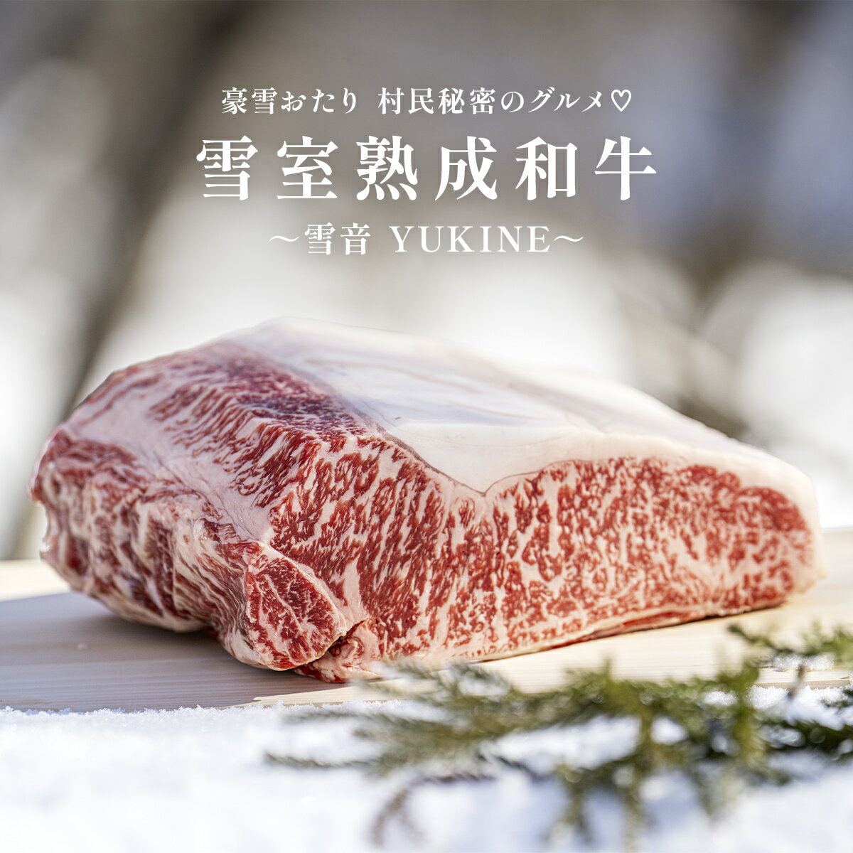【ふるさと納税】豪雪おたり 村民秘密のグルメ♡ 雪室熟成和牛 ～雪音 YUKINE～｜国産 信州産 お肉 熟成 熟成肉 黒毛和牛 和牛 牛肉 サーロイン 数量限定 限定 希少 ふるさと納税