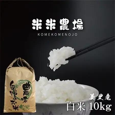 【令和7年産】熊本県美里町のお米 ヒノヒカリ 10kg×1袋_白米 お米 米 ごはん おにぎり_【1681365】