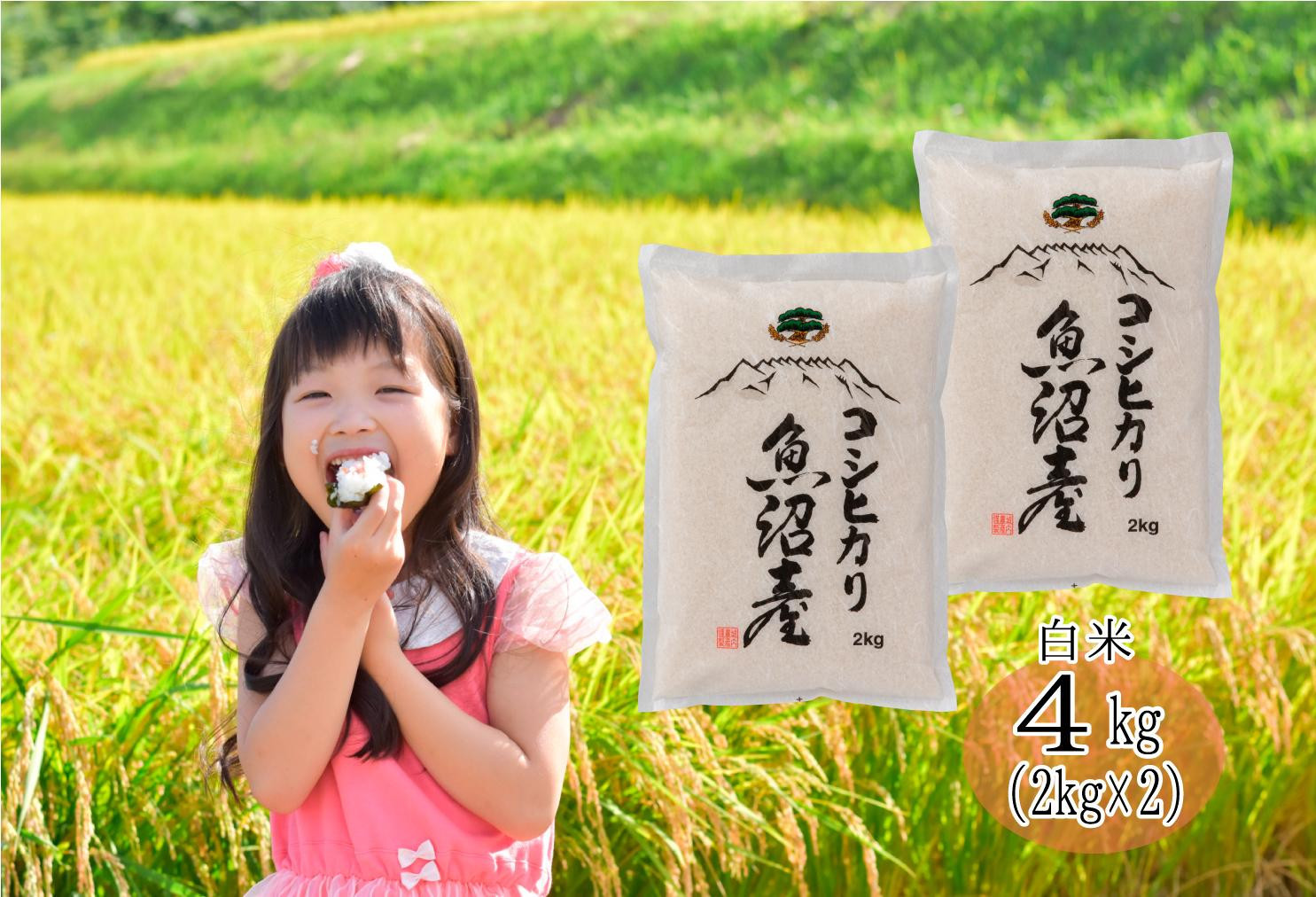 【令和８年産新米予約】南魚沼産コシヒカリ　白米４kg（２ｋｇ×２）【５割減農薬栽培米】城内農産【銘柄米 ブランド米 精米 こしひかり コシヒカリ 魚沼産 新潟米 産地直送 お米 米 】【2026年9月