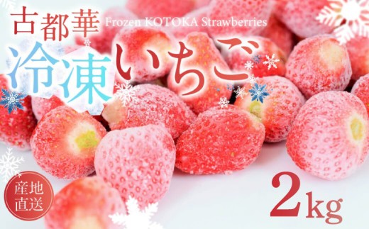 冷凍いちご 約2kg 古都華 ことか 約500g×4袋 いちご 冷凍イチゴ 数量限定 ブランド 苺 フルーツ 果物 国産 ベリー 冷凍 完熟 冷凍苺 旬 産地直送 冷凍フルーツ 果物 小分け 国産 厳選 新鮮 甘い 美味しい プレゼント ギフト お歳暮 奈良市 奈良県 いちご農家 だるま