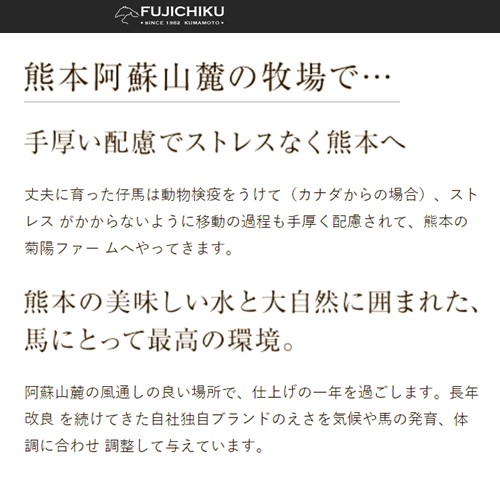 【熊本と畜】ふじ馬刺し上赤身4個セット（80g×4）