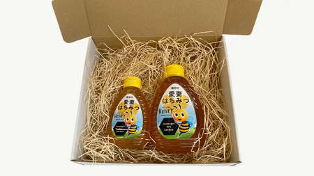 愛妻はちみつ ( 百花 ) 500g と 250g の 2個 セット はちみつ ハチミツ 国産 蜂蜜 群馬 おすすめ つまごいビーガーデン [AC005tu]