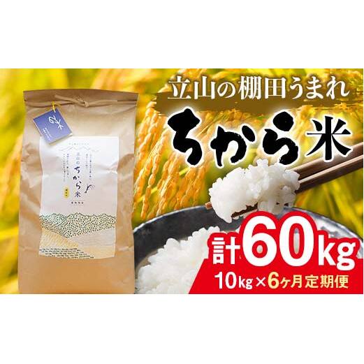 ＜定期便＞立山のちから米 令和7年産 コシヒカリ 各10kg ＜全6回＞ 計60kg 6ヶ月連続 10kg 定期便 定期配送 ちから米 こしひかり 銘柄米 ブランド米 国産 米 お米 日本米 F6T-