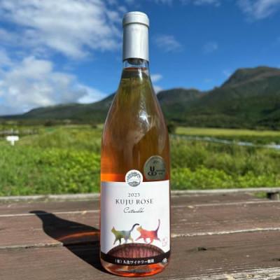 ふるさと納税 竹田市 久住ワイナリーの久住高原育ち赤・ロゼ 720ml×2本セット