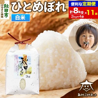 ふるさと納税 秋田市 《定期便11ヶ月》秋田市産ひとめぼれ 8kg|15_akn-ee0811h