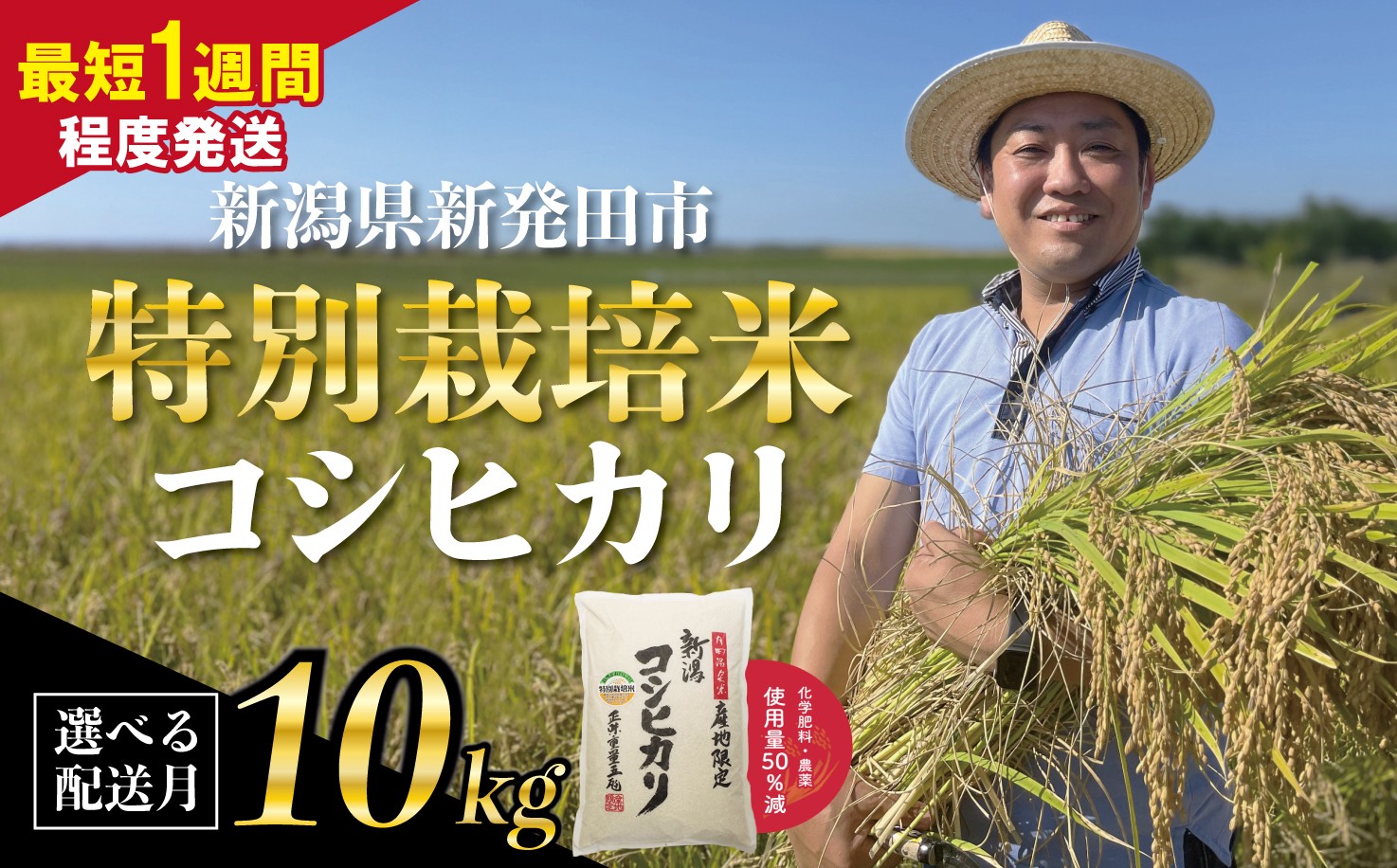 
            【最短1週間発送!!】 新潟県産 特別栽培米 コシヒカリ 10kg （5kg×2袋） 選べる 配送月 令和7年産 こしひかり 特栽米 米 新米 月岡 温泉 お米 こめ ご飯 ごはん おいしい 新潟米 新潟 新潟県 米 新発田産 新潟産 朝食 昼食 夕飯 炊きたて 精米 watasho005P
          