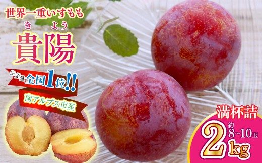 ＜2026年発送先行予約＞南アルプス市産 すもも【貴陽】2kg 満杯詰 ALPGA001