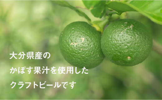 B-673 大分限定 かぼすくらふと ビン 330ml 6本セット クラフトビール ビール 地ビール カボス かぼす 地域限定