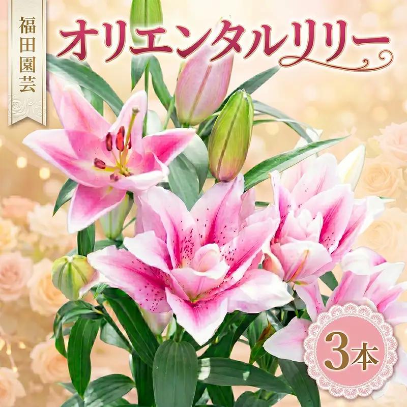  ユリ(オリエンタルリリー)3本【ユリ】