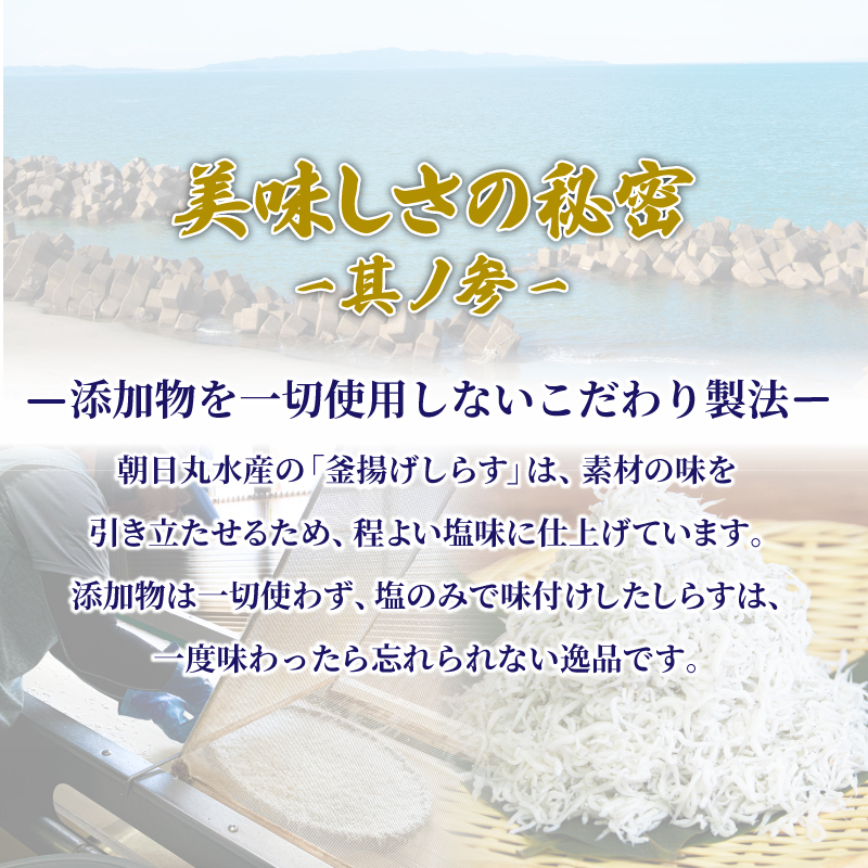 しらす 釜揚げ 定期便 計600g 200g ×3回 先行予約 ちりめんじゃこ じゃこ しらす ちりめん 小魚 魚 海鮮 魚介類 魚貝 シーフード いわし 鰯 おかず おつまみ 惣菜 弁当 ご飯 のお