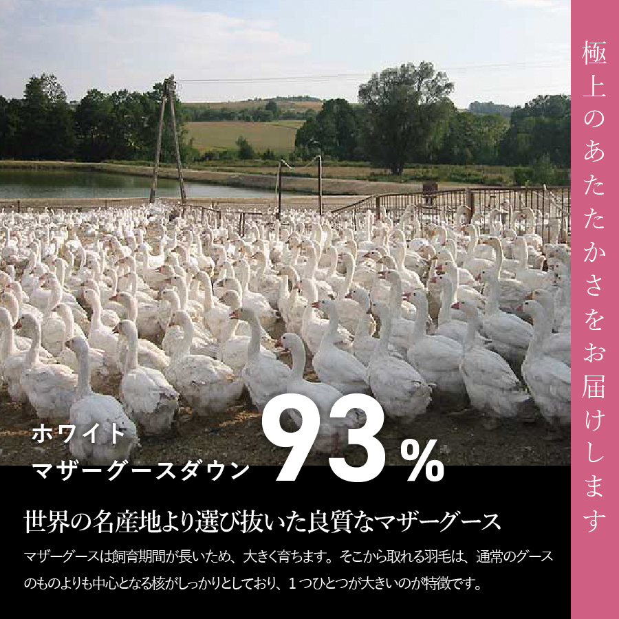 羽毛布団 肌布団 超軽量洗える羽毛肌掛ふとんマザーグース93％（ダブル）【甲州羽毛ふとん】 掛け布団