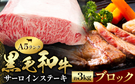 黒毛和牛 サーロイン ブロック 約3kg 田中畜産《30日以内に出荷予定(土日祝除く)》 熊本県 苓北町 A4 ～ A5 ランク 国産 肉 牛肉 ステーキ 黒牛 天草 苓北 熊本 産地直送 送料無料 田中畜産