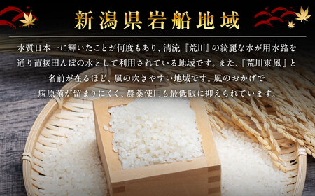【新米受付・令和8年産米】 新潟県村上市岩船産コシヒカリ  精米2kg×3個セット NA4091