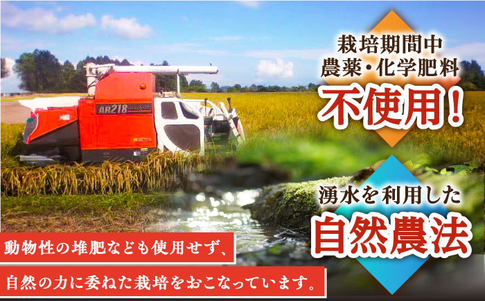 【自然農法で育てた特別栽培米】令和5年産 ヒノヒカリ 玄米 9kg（3kg×3袋）/永尾 忠則 [UAS007] 棚田米 棚田玄米 米 お米