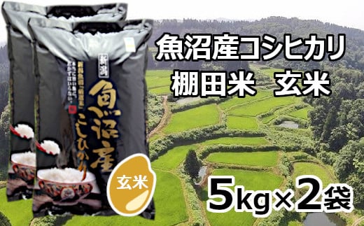 【先行予約】【令和7年産 新米】魚沼産コシヒカリ棚田米 玄米5kg×2袋※2025年9月下旬以降より順次発送予定 佐藤農場 【0018-0006-01】