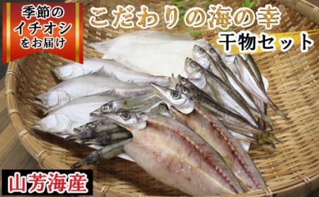 こだわりの海の幸干物セット【干物 乾物 旬の魚 おまかせ 詰め合わせ セット 日本海 境港 ご当地 ギフト プレゼント ご自宅用】