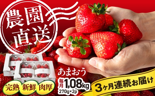 【月1回・全3回定期便】 あまおう いちご 糸島産あまおう 270g×4パック 【2027年1月～順次発送】 (A品B品含むL～5L) 糸島市 / 磯本農園 / TANNAL イチゴ / いちご [ATB011] ランキング 上位 人気 おすすめ いちご 定期便 あまおう いちご 定期便 3回定期便 3ヶ月 3ヵ月 あまおういちご フルーツ 果物 苺 定期便 福岡産あまおう あまおう 1月