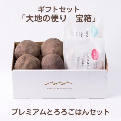 ふるさと納税 能美市 農家直送!!縁起の良いギフトセット「大地の便り　宝箱」プレミアムとろろごはんセット