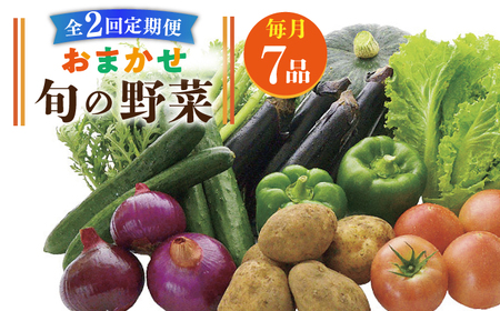 【全2回定期便】旬の野菜セット 7品《壱岐市》【壱岐市農業協同組合】季節 健康 栄養 やさい 詰め合わせ [JBO131]