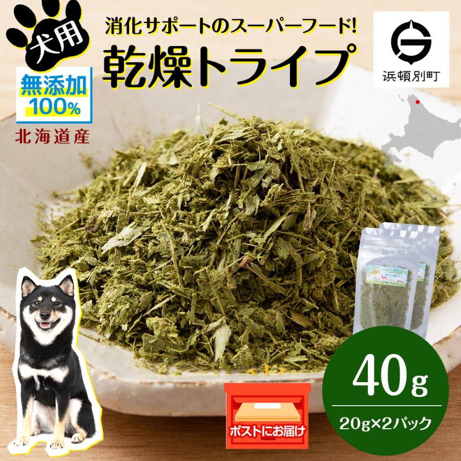 ふるさと納税 浜頓別町 犬 おやつ 無添加 国産 乾燥グリーントライプ 40g (20g×2)
